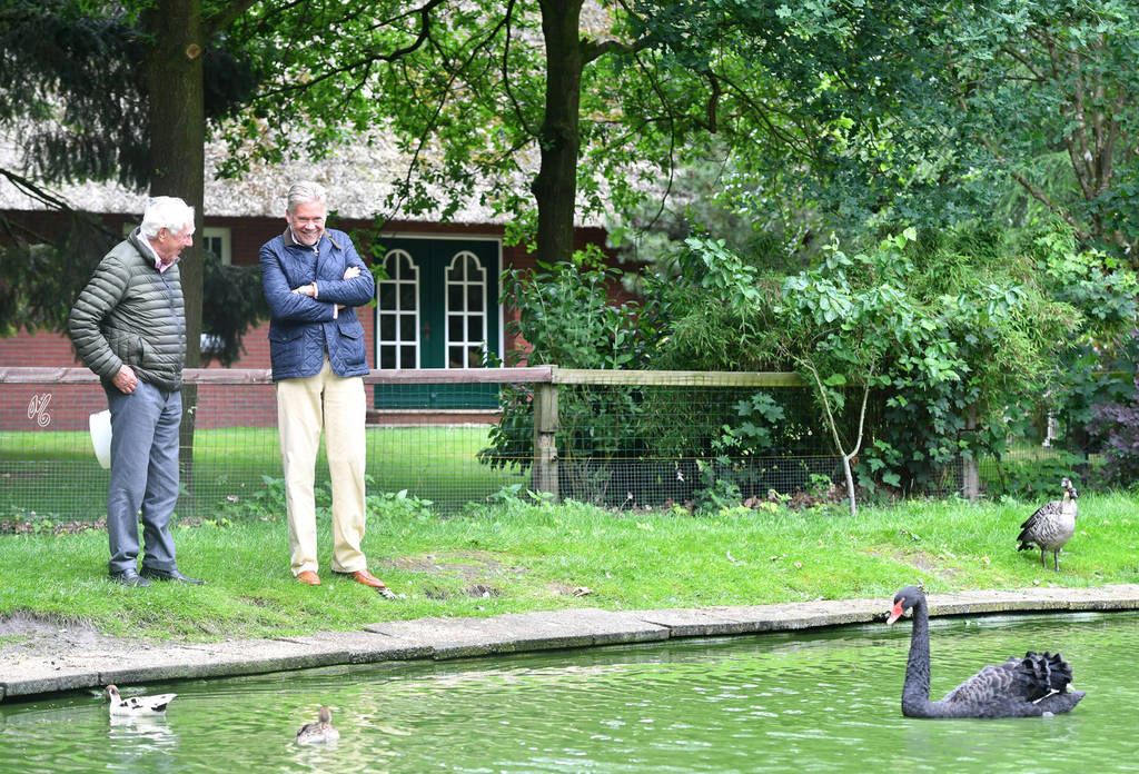 Lisa Abraham: Katharinenhof Stud 2017: A Photographic Essay