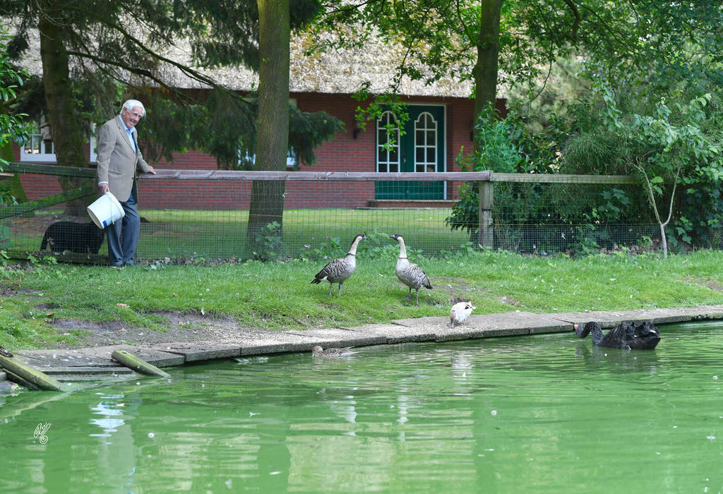 Lisa Abraham: Katharinenhof Stud 2017: A Photographic Essay