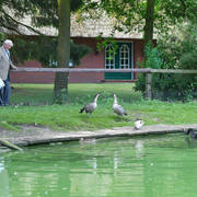 Lisa Abraham: Katharinenhof Stud 2017: A Photographic Essay