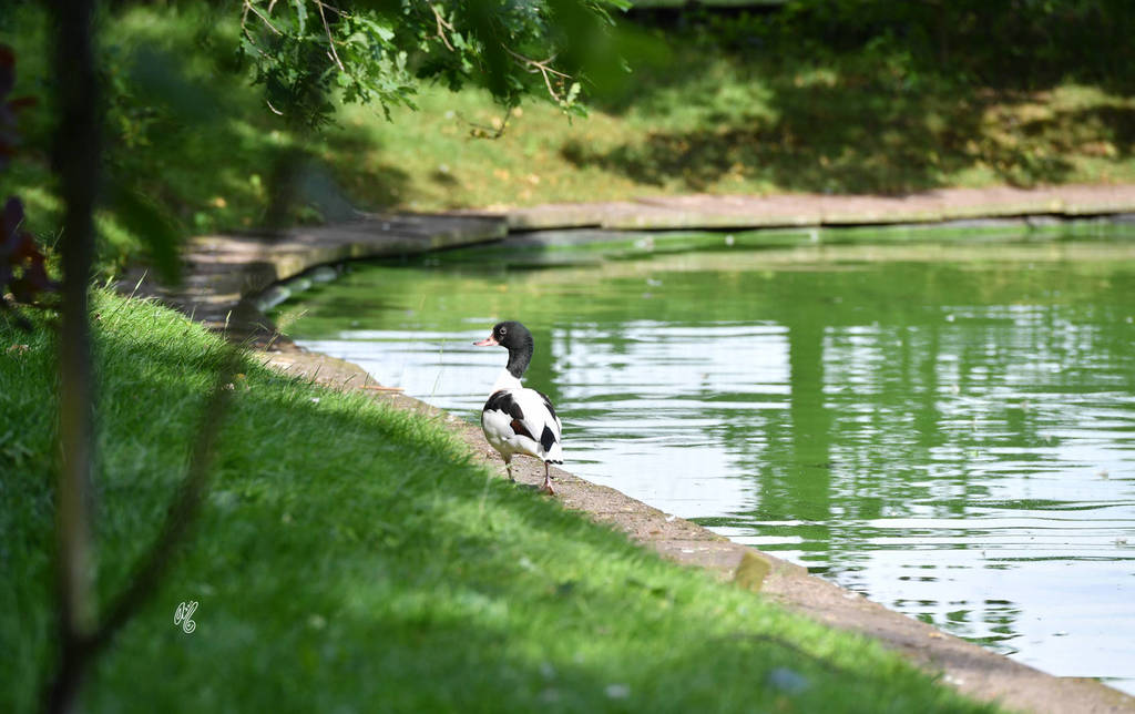 Lisa Abraham: Katharinenhof Stud 2017: A Photographic Essay