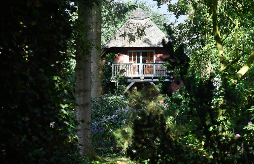 Lisa Abraham: Katharinenhof Stud 2017: A Photographic Essay