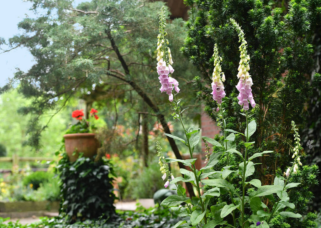 Lisa Abraham: Katharinenhof Stud 2017: A Photographic Essay