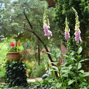 Lisa Abraham: Katharinenhof Stud 2017: A Photographic Essay