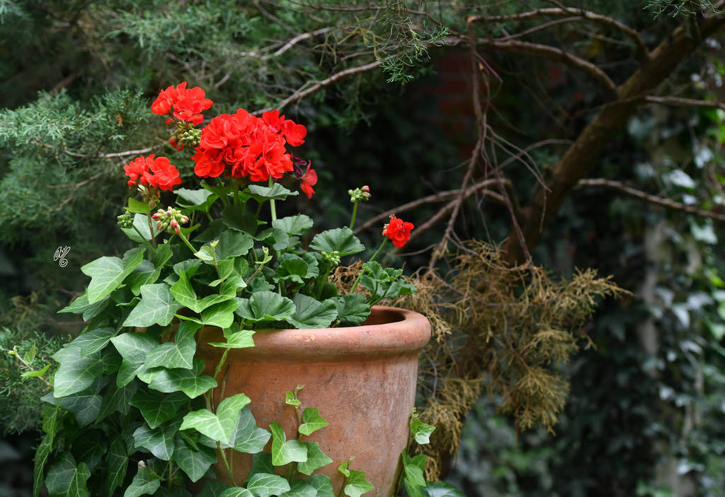 Lisa Abraham: Katharinenhof Stud 2017: A Photographic Essay