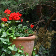 Lisa Abraham: Katharinenhof Stud 2017: A Photographic Essay