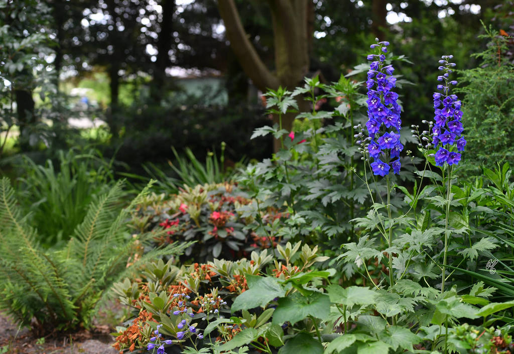 Lisa Abraham: Katharinenhof Stud 2017: A Photographic Essay