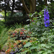 Lisa Abraham: Katharinenhof Stud 2017: A Photographic Essay