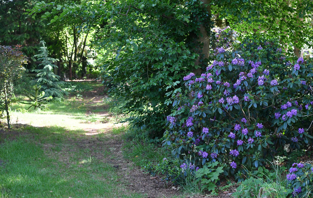 Lisa Abraham: Katharinenhof Stud 2017: A Photographic Essay