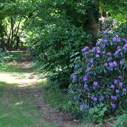 Lisa Abraham: Katharinenhof Stud 2017: A Photographic Essay