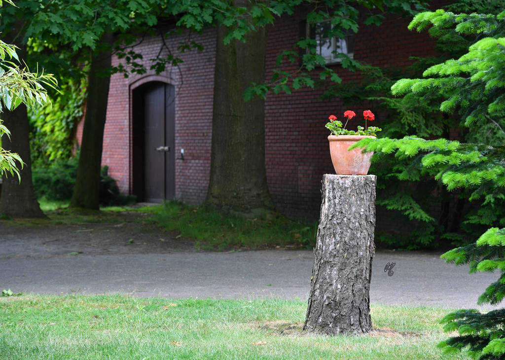 Lisa Abraham: Katharinenhof Stud 2017: A Photographic Essay