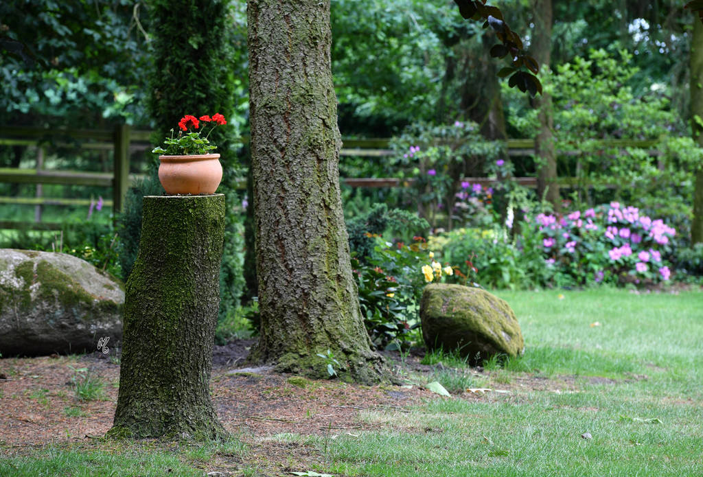 Lisa Abraham: Katharinenhof Stud 2017: A Photographic Essay