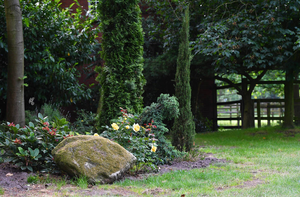 Lisa Abraham: Katharinenhof Stud 2017: A Photographic Essay