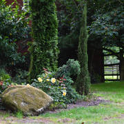 Lisa Abraham: Katharinenhof Stud 2017: A Photographic Essay