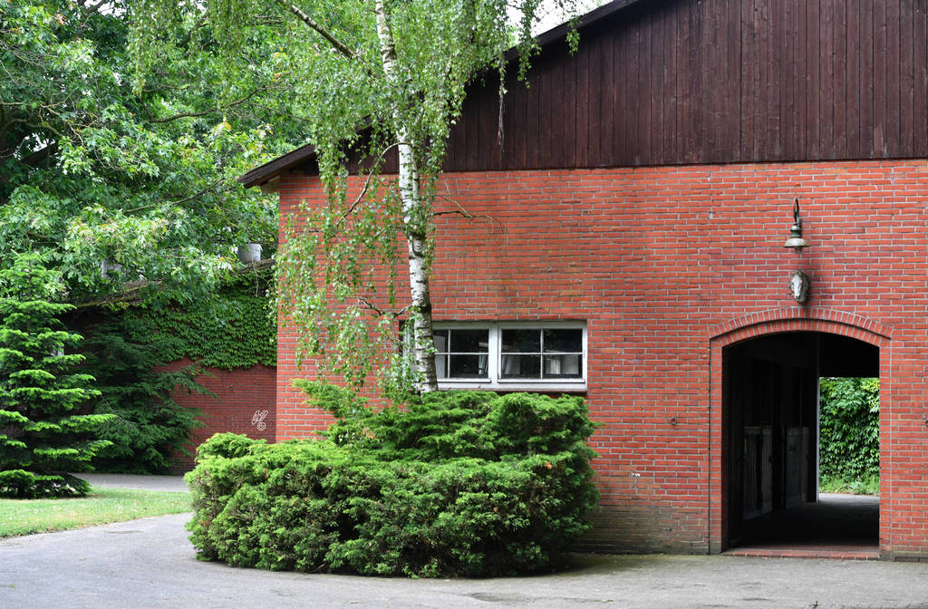 Lisa Abraham: Katharinenhof Stud 2017: A Photographic Essay