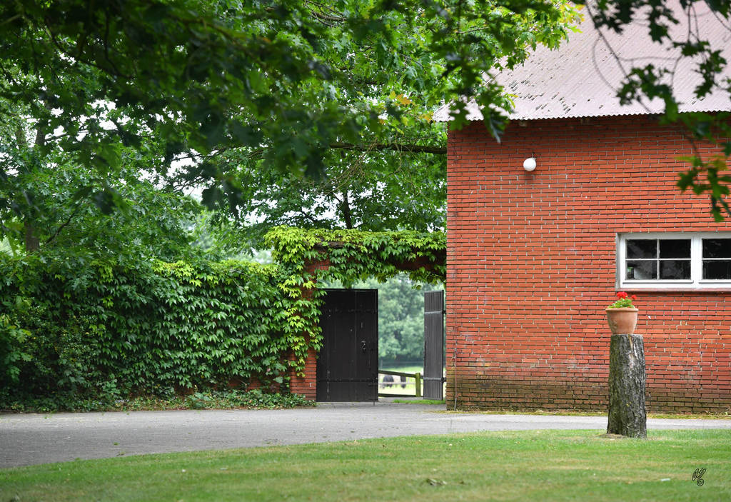 Lisa Abraham: Katharinenhof Stud 2017: A Photographic Essay