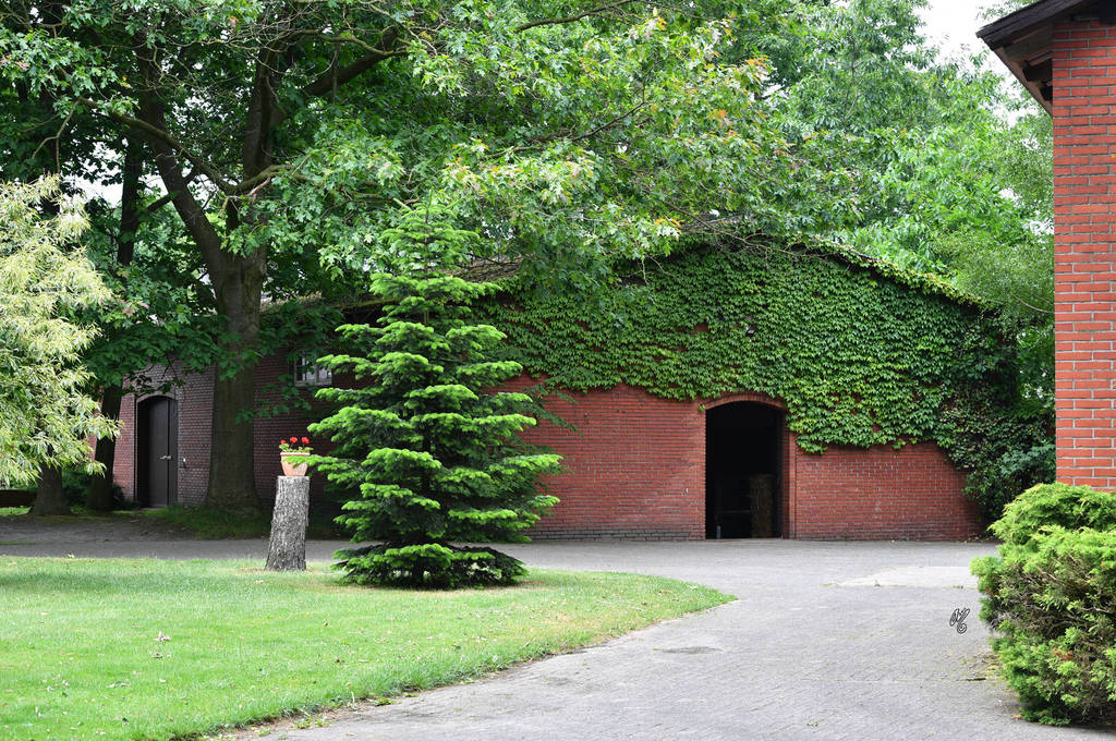 Lisa Abraham: Katharinenhof Stud 2017: A Photographic Essay