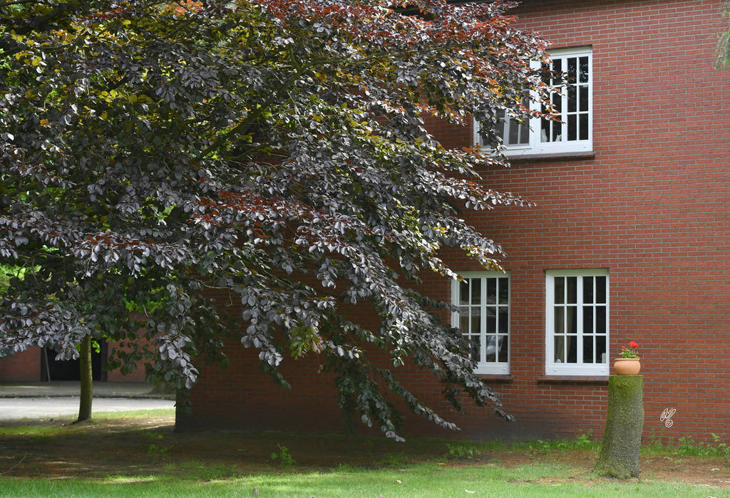 Lisa Abraham: Katharinenhof Stud 2017: A Photographic Essay