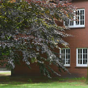 Lisa Abraham: Katharinenhof Stud 2017: A Photographic Essay