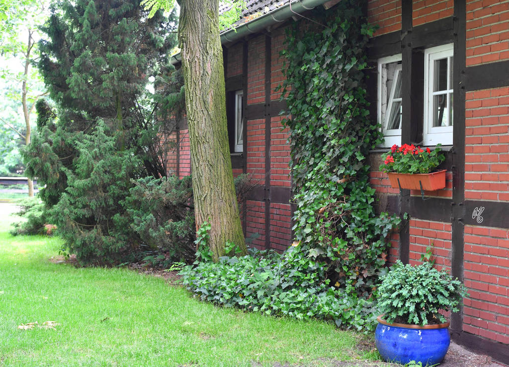 Lisa Abraham: Katharinenhof Stud 2017: A Photographic Essay