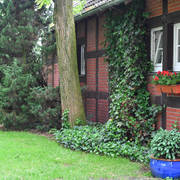 Lisa Abraham: Katharinenhof Stud 2017: A Photographic Essay