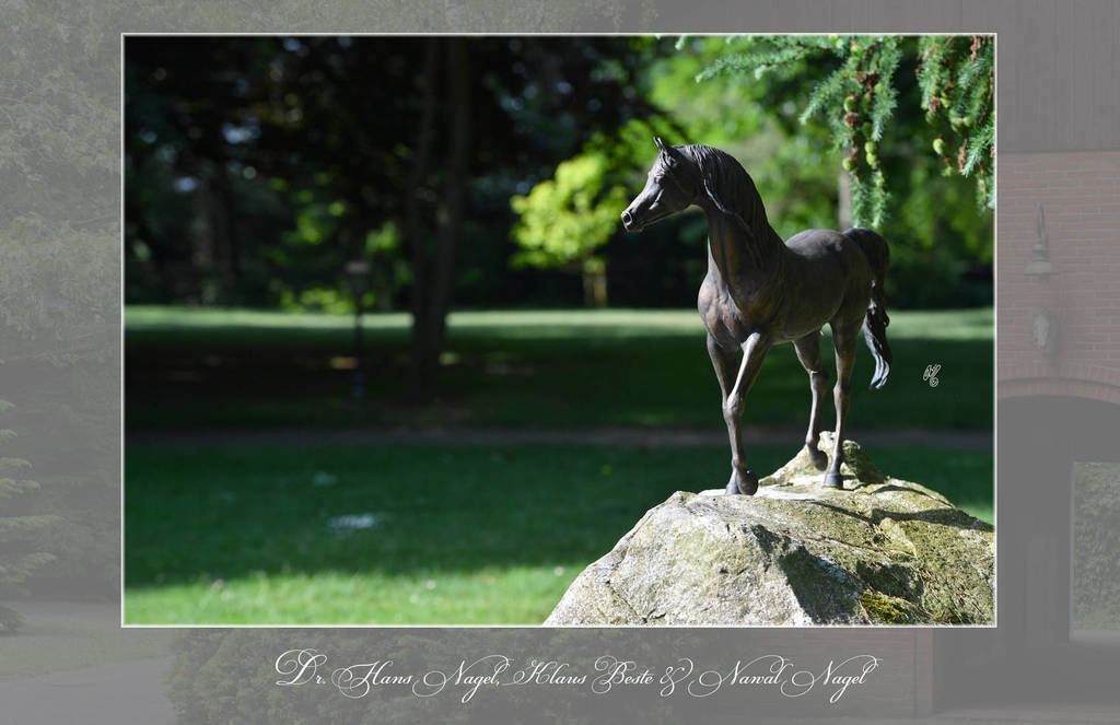 Lisa Abraham: Katharinenhof Stud 2017: A Photographic Essay