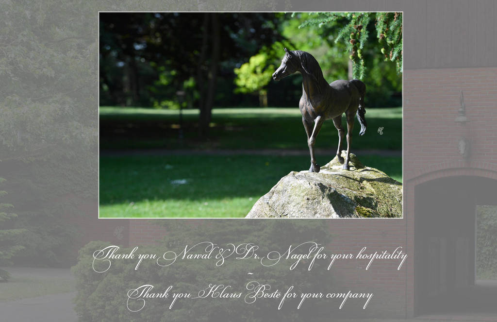 Lisa Abraham: Katharinenhof Stud 2017: A Photographic Essay