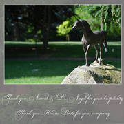 Lisa Abraham: Katharinenhof Stud 2017: A Photographic Essay