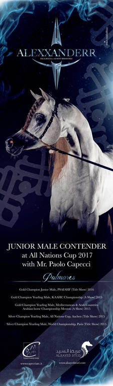 ALLEXXANDERR ... is Back