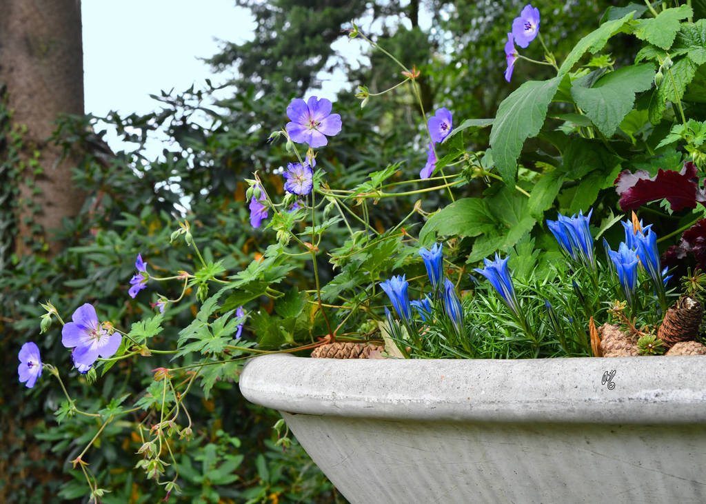 Lisa Abraham: Katharinenhof Stud 2017: A Photographic Essay