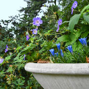 Lisa Abraham: Katharinenhof Stud 2017: A Photographic Essay