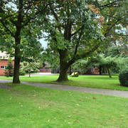 Lisa Abraham: Katharinenhof Stud 2017: A Photographic Essay