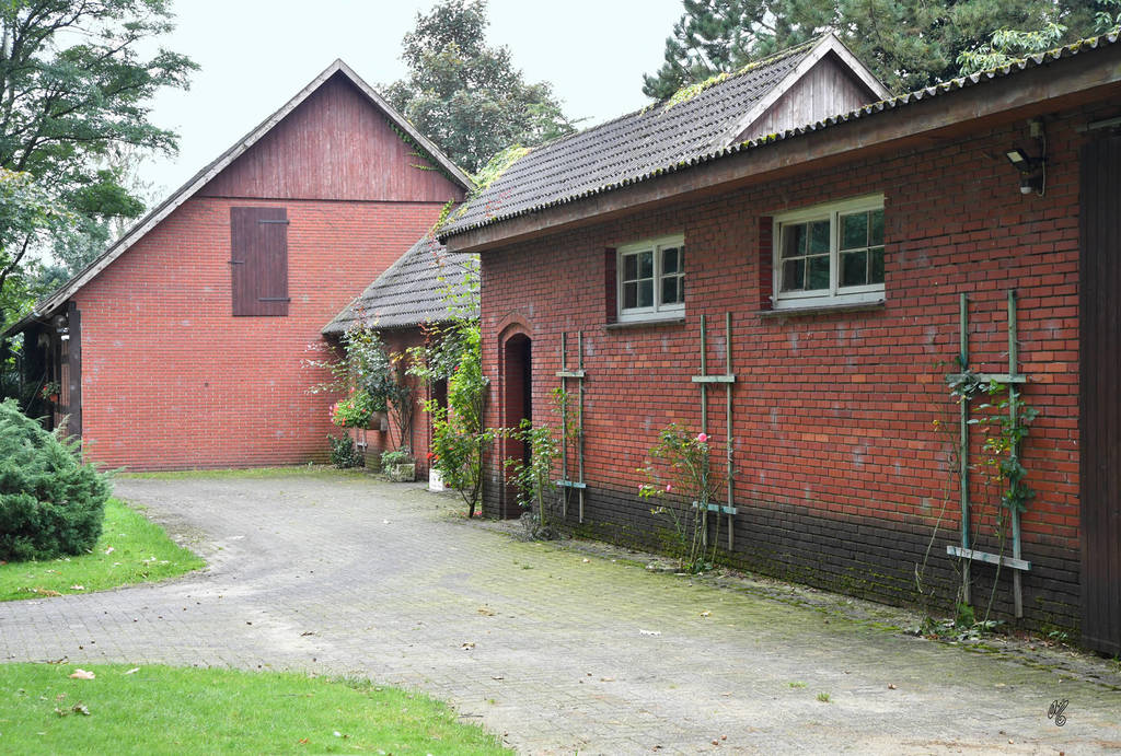 Lisa Abraham: Katharinenhof Stud 2017: A Photographic Essay