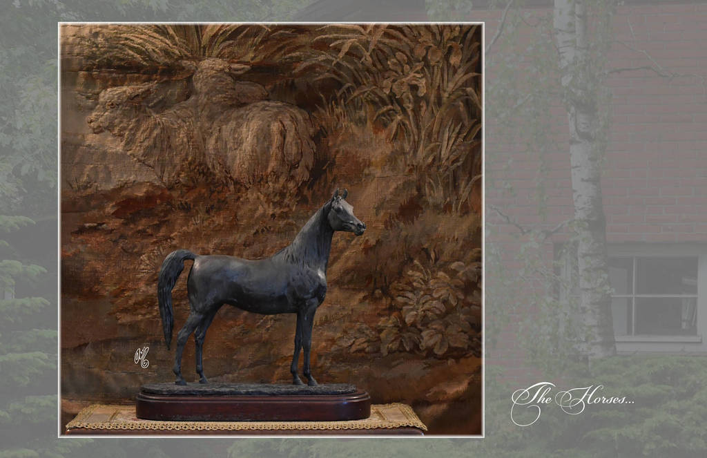 Lisa Abraham: Katharinenhof Stud 2017: A Photographic Essay