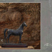 Lisa Abraham: Katharinenhof Stud 2017: A Photographic Essay