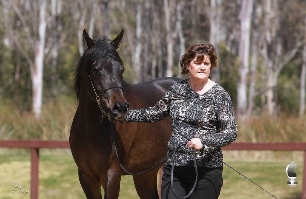 NSW ARABIAN STATE TITLES - SYDNEY AUSTRALIA