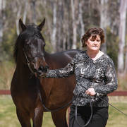 NSW ARABIAN STATE TITLES - SYDNEY AUSTRALIA