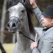 NSW ARABIAN STATE TITLES - SYDNEY AUSTRALIA