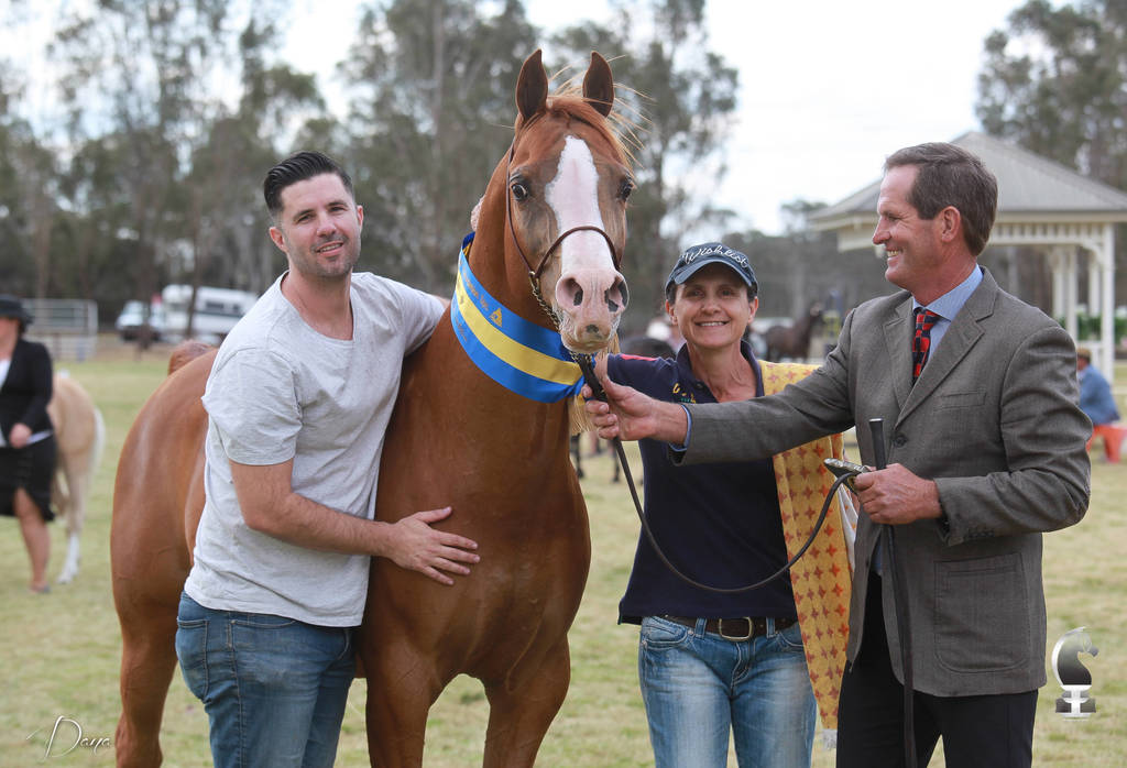 NSW ARABIAN STATE TITLES - SYDNEY AUSTRALIA