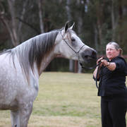 NSW ARABIAN STATE TITLES - SYDNEY AUSTRALIA