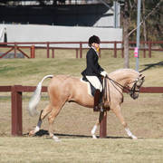 NSW ARABIAN STATE TITLES - SYDNEY AUSTRALIA