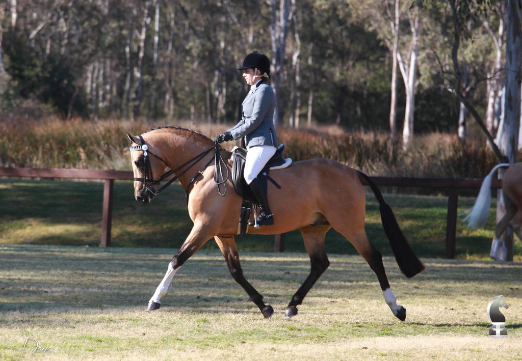 NSW ARABIAN STATE TITLES - SYDNEY AUSTRALIA