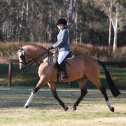 NSW ARABIAN STATE TITLES - SYDNEY AUSTRALIA