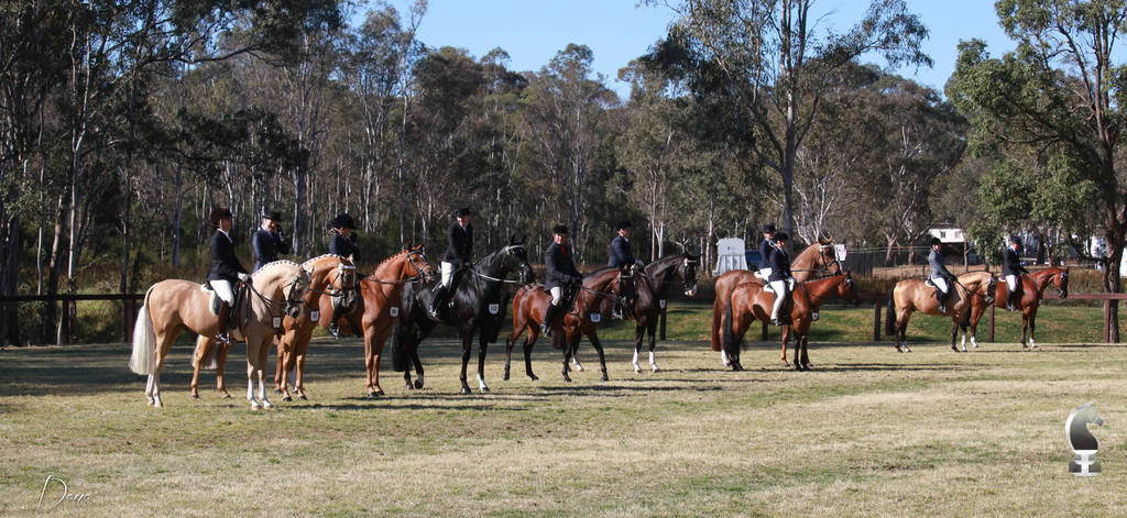 NSW ARABIAN STATE TITLES - SYDNEY AUSTRALIA