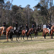NSW ARABIAN STATE TITLES - SYDNEY AUSTRALIA