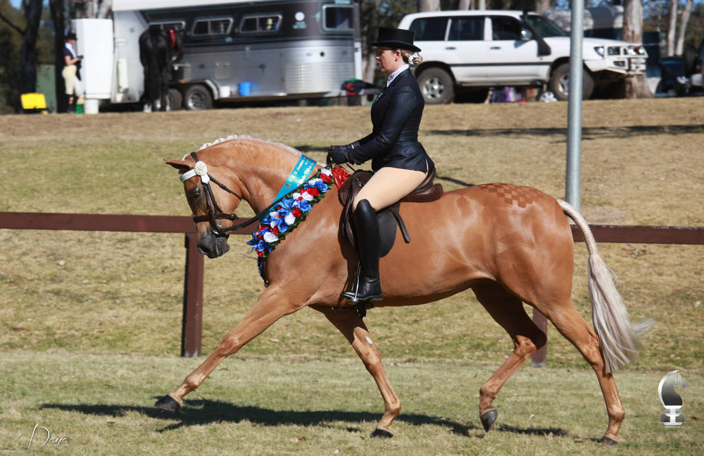 NSW ARABIAN STATE TITLES - SYDNEY AUSTRALIA
