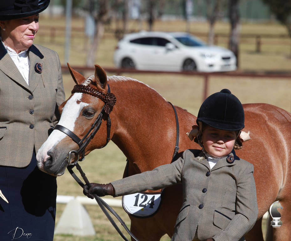 NSW ARABIAN STATE TITLES - SYDNEY AUSTRALIA
