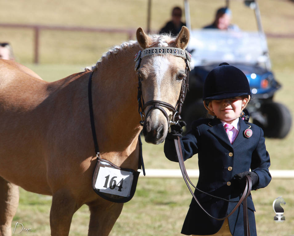 NSW ARABIAN STATE TITLES - SYDNEY AUSTRALIA
