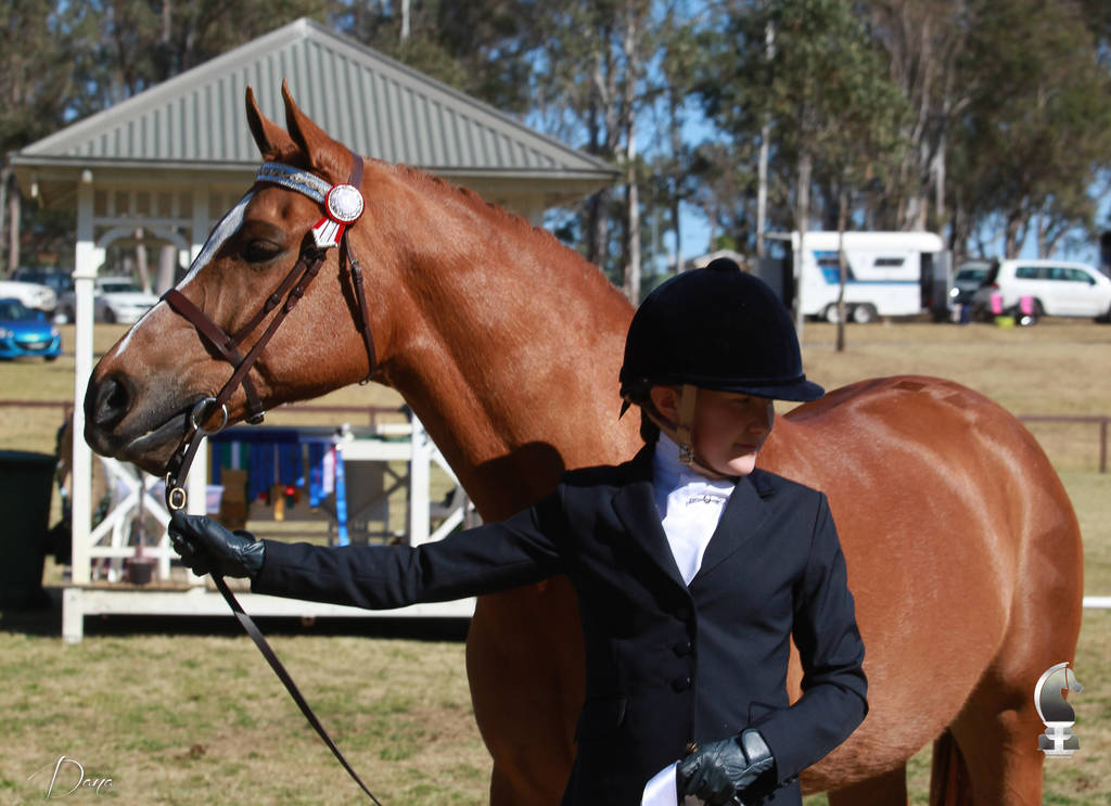 NSW ARABIAN STATE TITLES - SYDNEY AUSTRALIA