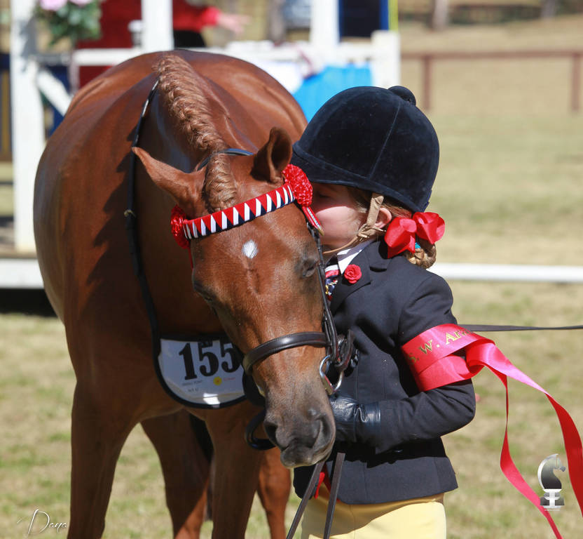 NSW ARABIAN STATE TITLES - SYDNEY AUSTRALIA