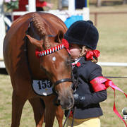 NSW ARABIAN STATE TITLES - SYDNEY AUSTRALIA